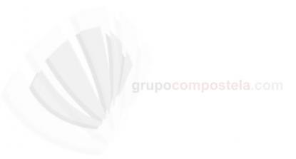 Nuevo Seat Ibiza - Foto 2