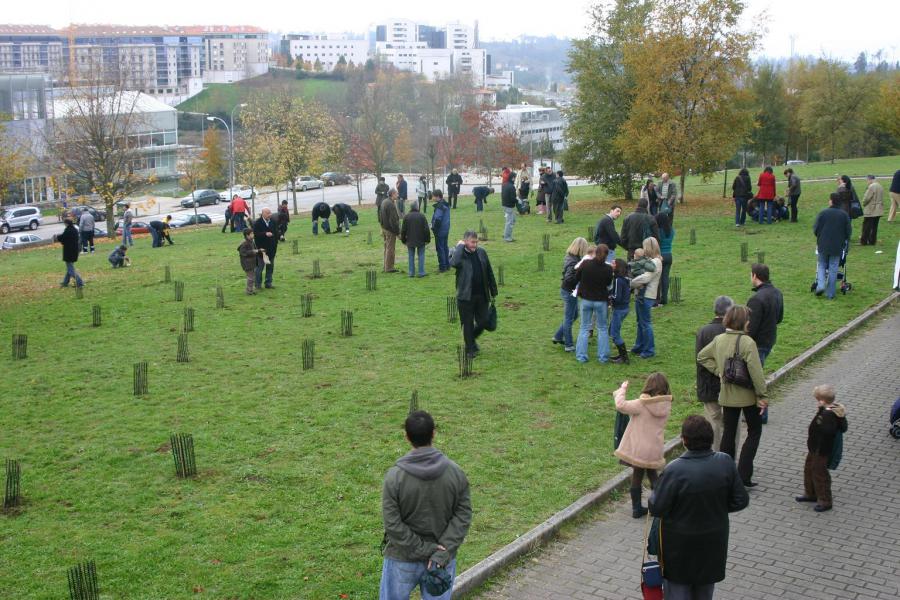 D�A DE LA REFORESTACI�N TOYOTA 2008 - Foto